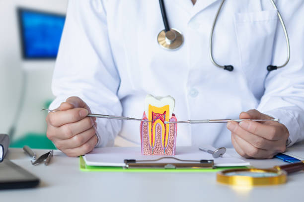 Best Emergency Gum Pain Relief  in Fox Lake, IL